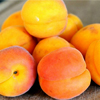 Drzewka owocowe - morele - EARLY ORANGE