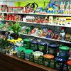 Centrum Ogrodnicze Wrocaw | Galeria Zdj | rodki ochrony rolin, kora, nawozy