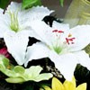 Centrum Ogrodnicze Wrocaw | Galeria Zdj | znicze i wkady do zniczy